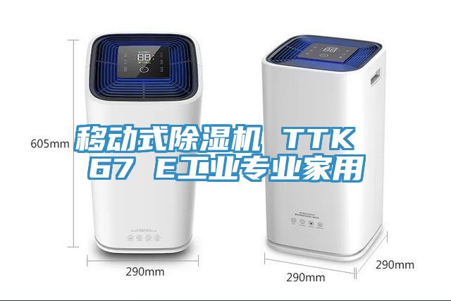 移動式除濕機 TTK 67 E工業(yè)專業(yè)家用