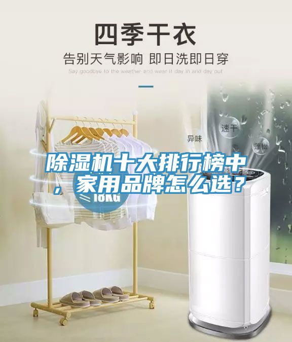 除濕機(jī)十大排行榜中，家用品牌怎么選？