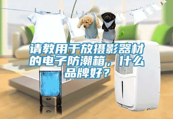 請教用于放攝影器材的電子防潮箱，什么品牌好？