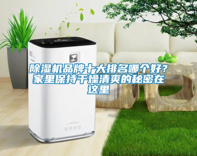 除濕機(jī)品牌十大排名哪個(gè)好？家里保持干燥清爽的秘密在這里