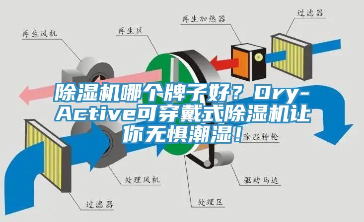 除濕機哪個牌子好？Dry-Active可穿戴式除濕機讓你無懼潮濕！