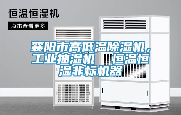 襄陽市高低溫除濕機，工業(yè)抽濕機  恒溫恒濕非標機器