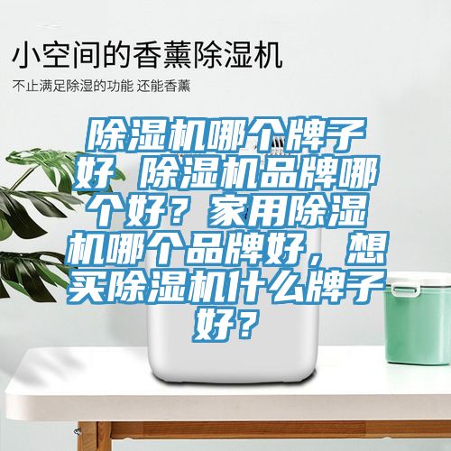 除濕機哪個牌子好 除濕機品牌哪個好？家用除濕機哪個品牌好，想買除濕機什么牌子好？