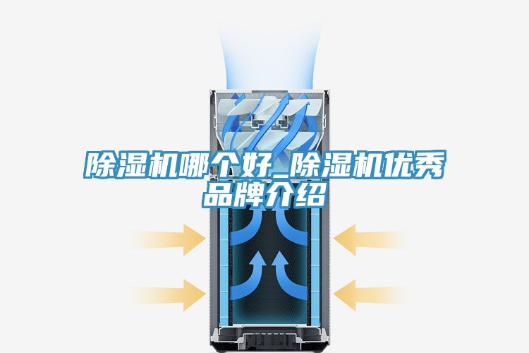 除濕機哪個好_除濕機優(yōu)秀品牌介紹