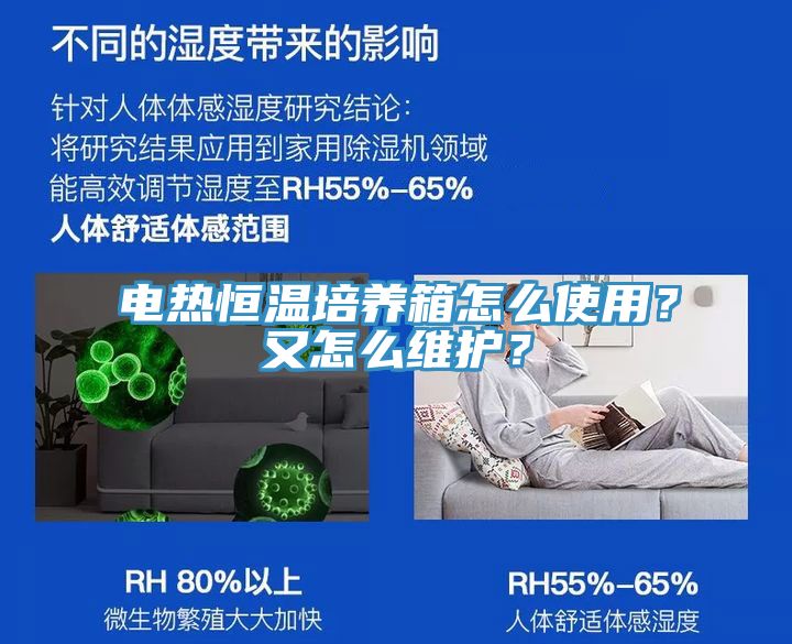 電熱恒溫培養(yǎng)箱怎么使用？又怎么維護？