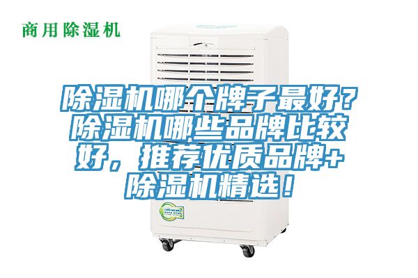 除濕機(jī)哪個(gè)牌子最好？除濕機(jī)哪些品牌比較好，推薦優(yōu)質(zhì)品牌+除濕機(jī)精選！