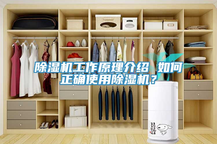 除濕機(jī)工作原理介紹 如何正確使用除濕機(jī)？